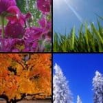 Reasons for the Seasons