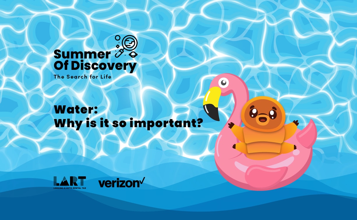 Summer of Discovery - Water